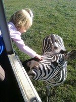 Fort Chiswell Animal Park