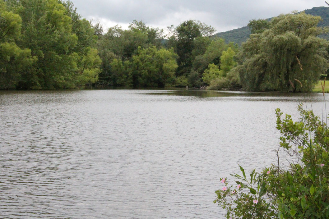 Rural Retreat Lake & Campground