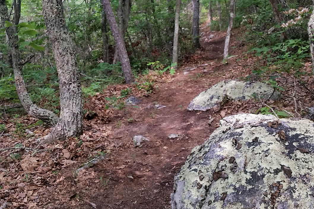 High Rocks Spur Trail1058x705