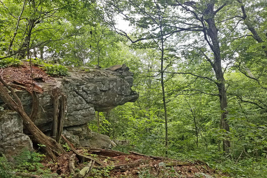 Walker Mountain Trail 1058×705
