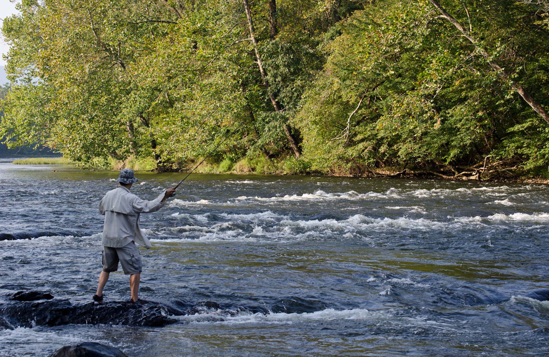 Foster-Falls-Fishing