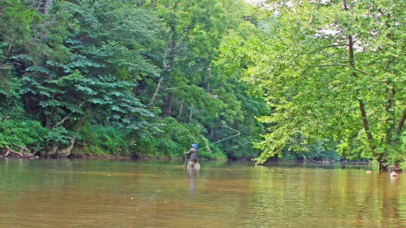 Fly Fishing