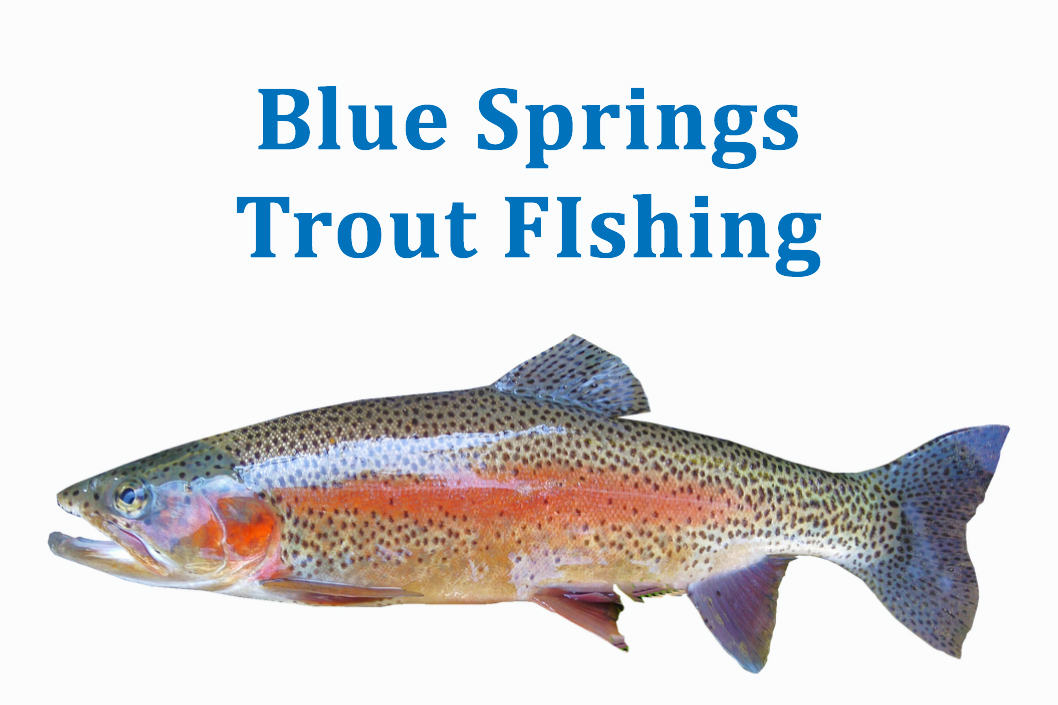 Blue Springs Trout Fishing