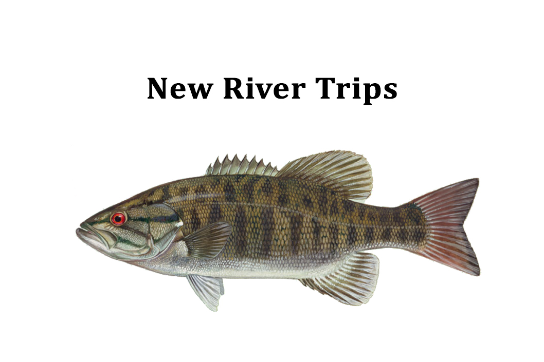 New River Trips LLC