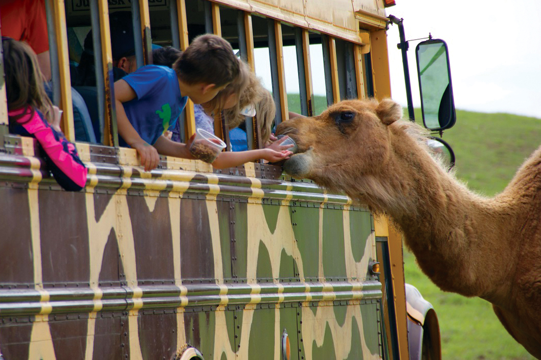 Wytheville Fort Chiswell Animal Park Kids