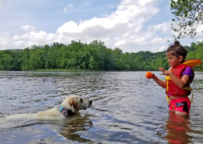 Wytheville Newriver Dog