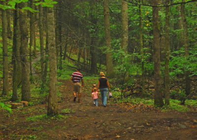 Wytheville Crystal Springs Family Hike