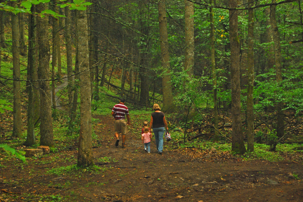 Wytheville Crystal Springs Family Hike