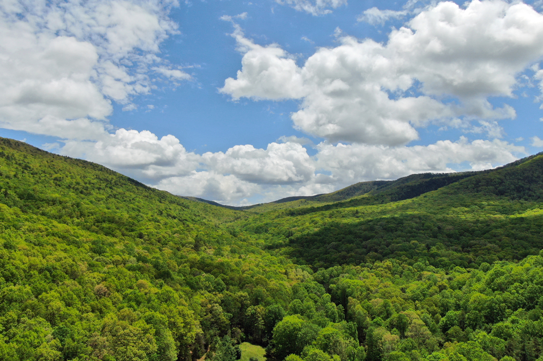 Wytheville Crystal Springs