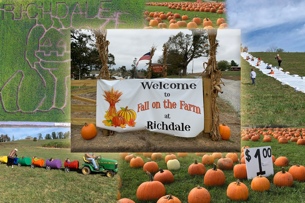 Richdale Wytheville Fall