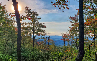Things to do in Wytheville - Fall foliage