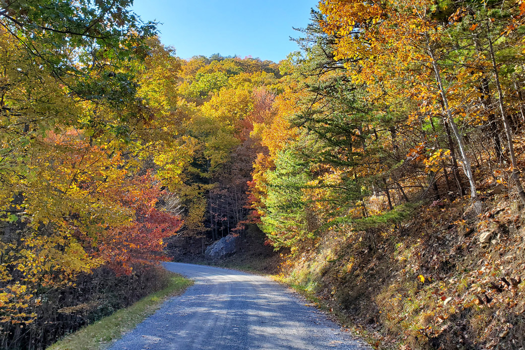 Wytheville Fall Road