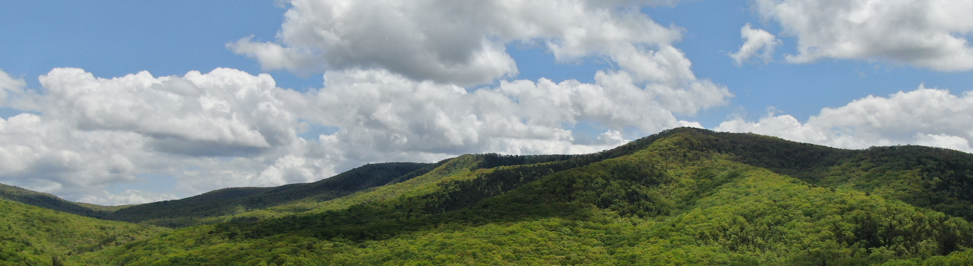 Wytheville Mountains