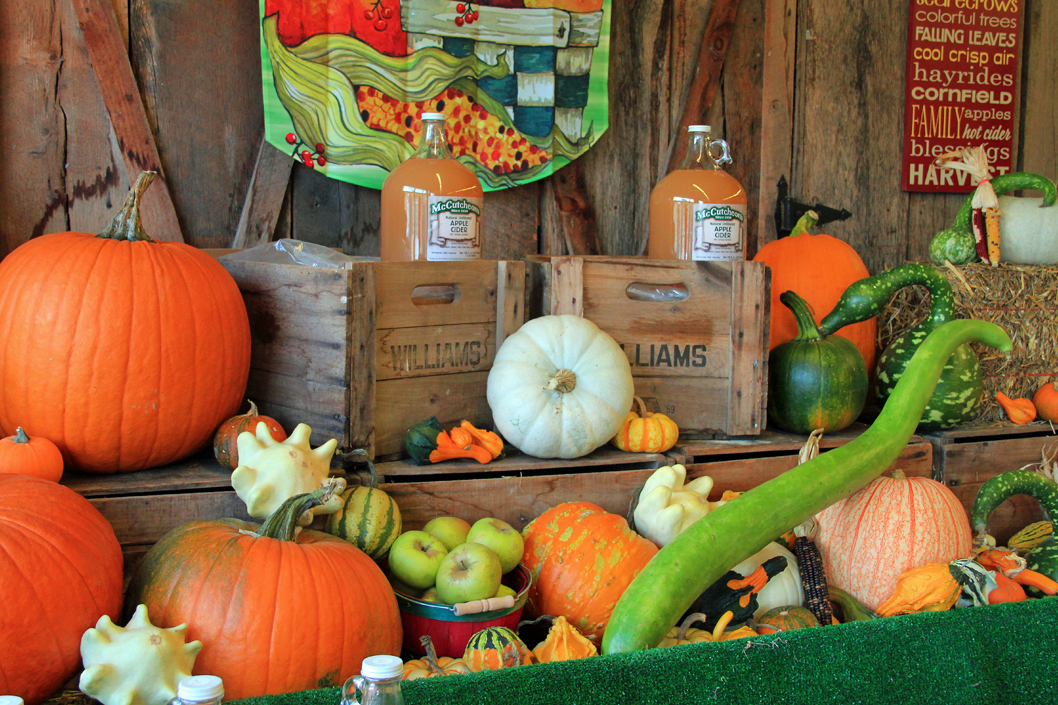 Wytheville Williams Orchard