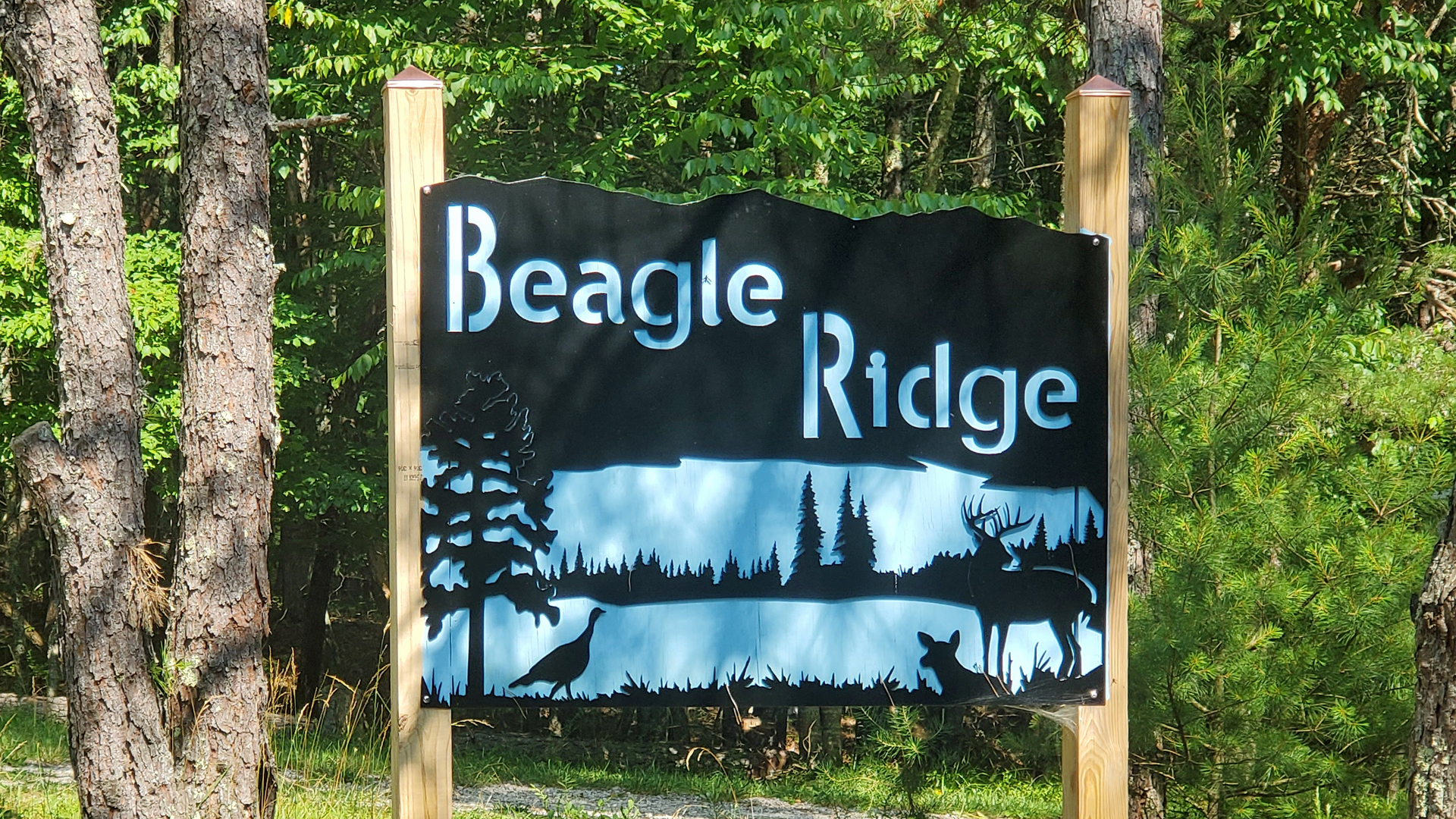 Beagle Ridge Wytheville 12