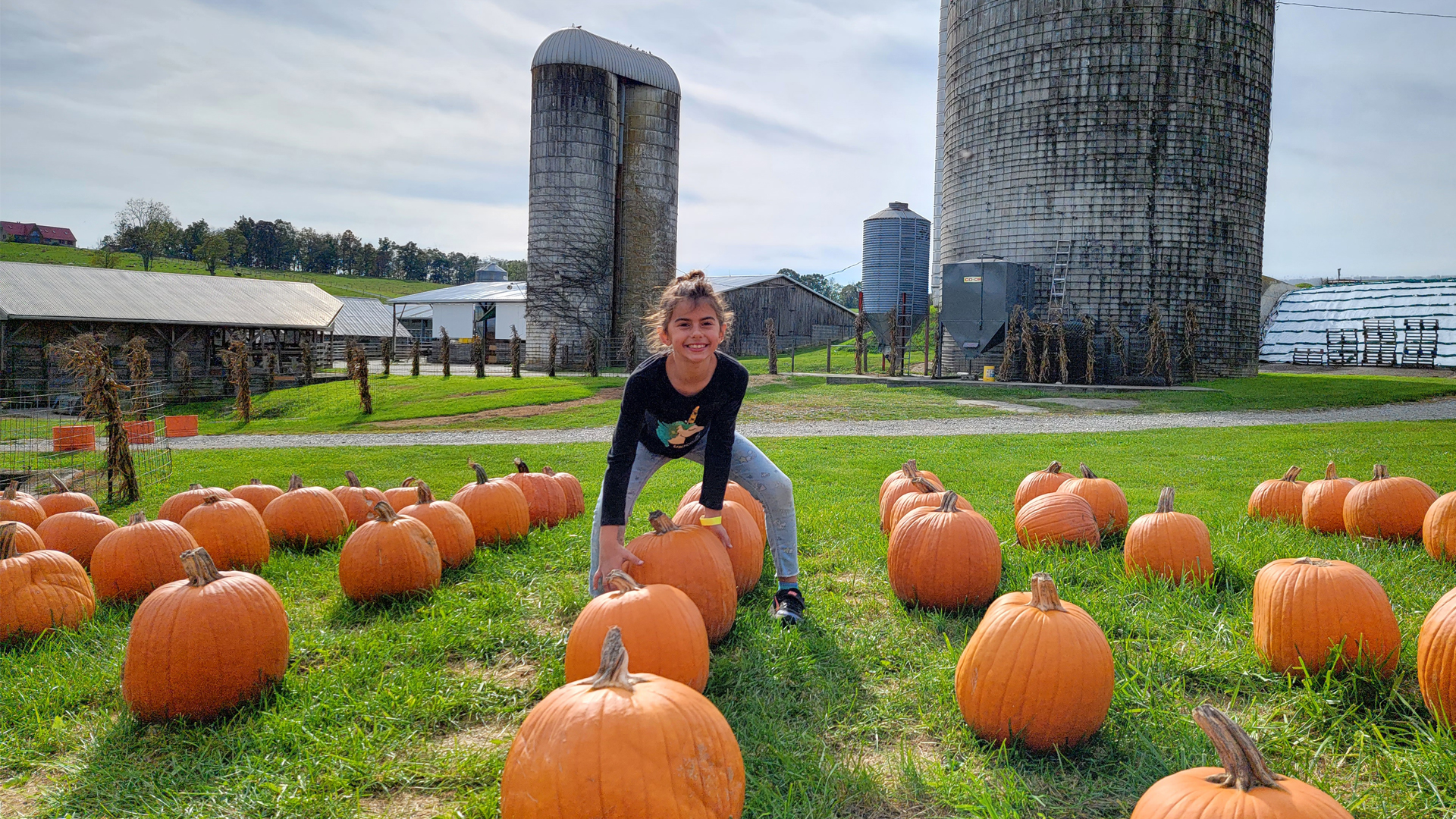 Wytheville Fall Farm