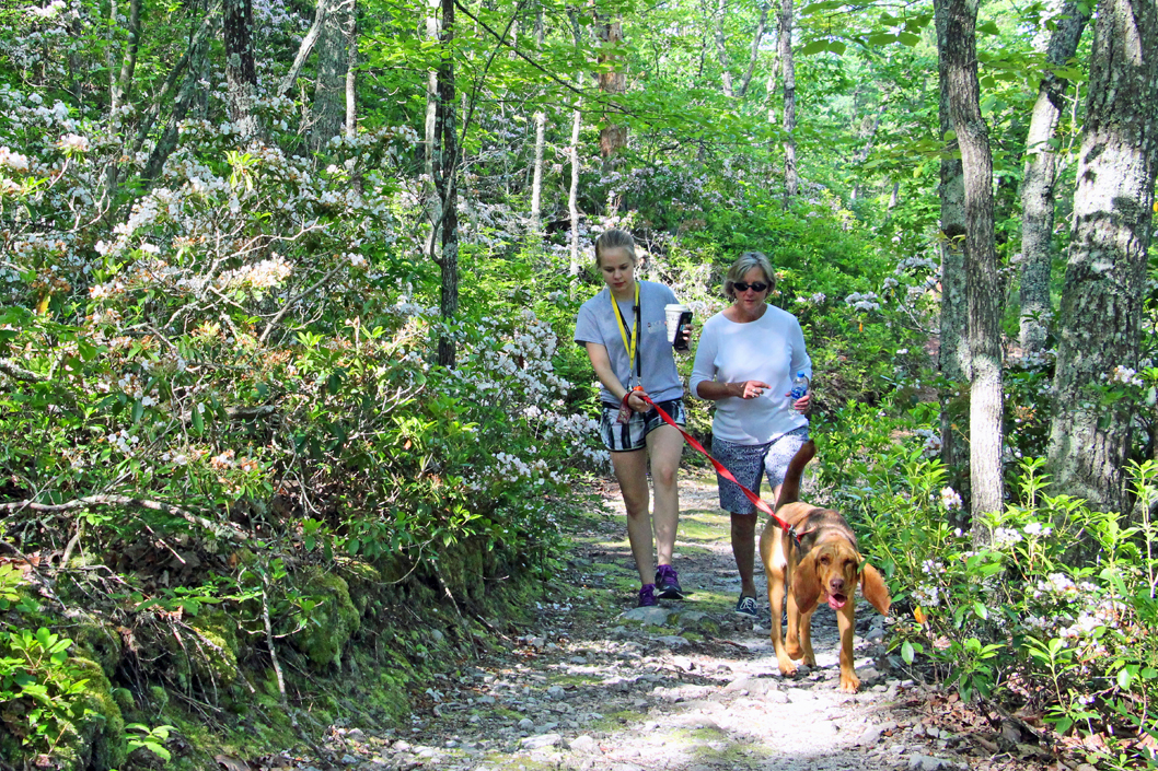 Wytheville Crystal Springs Hike