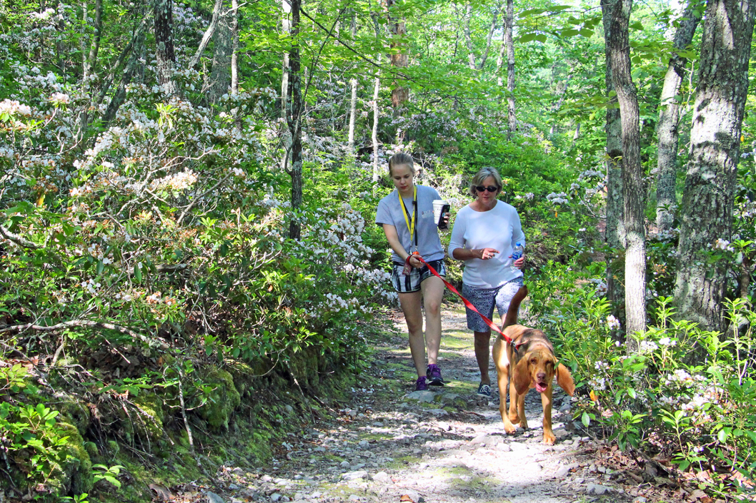 Wytheville Crystal Springs Hike Dog